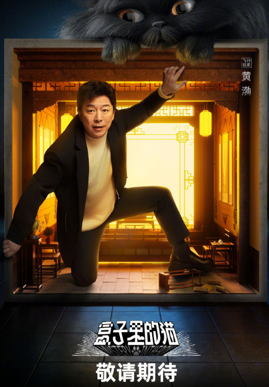 盒子里的猫什么时候播出？国外怎么看国内的视频