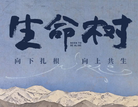 东南亚地区看爱奇艺无版权看不了