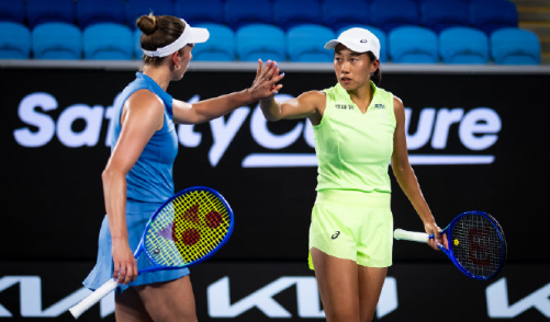 在东南亚怎么看央视频