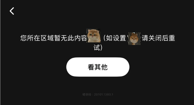 报错图